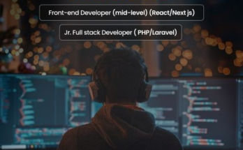 Developer