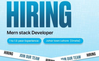MERN Stack Developer