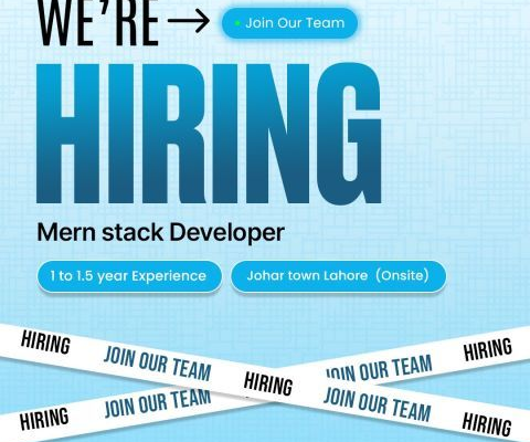 MERN Stack Developer