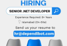 Senior .NET Developer