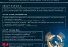AI Summer Internship Program