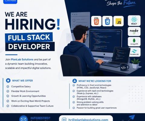 Full Stack Developer