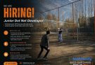 dot net developer