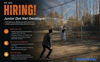 dot net developer