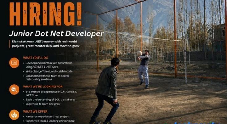 dot net developer